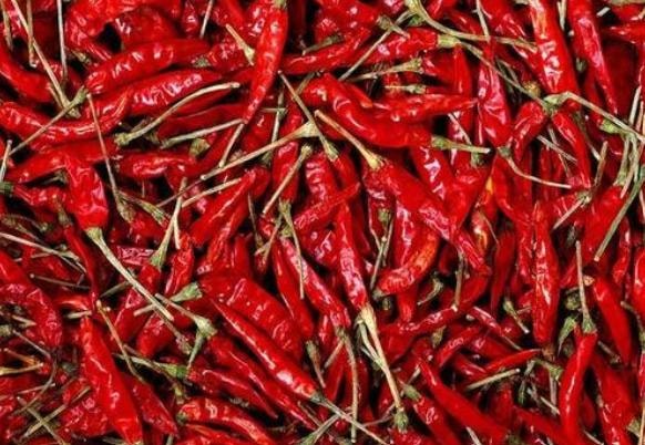 Guntur Sannam S4 / 334 Chilli